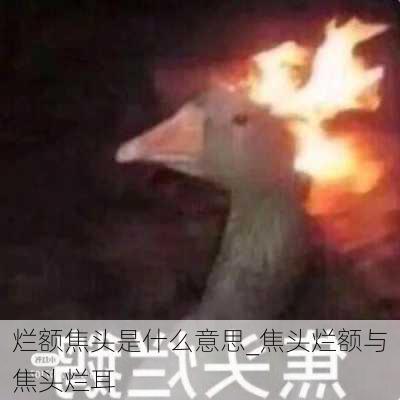 烂额焦头是什么意思_焦头烂额与焦头烂耳