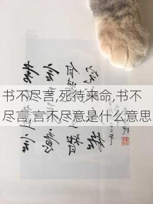 书不尽言,死待来命,书不尽言,言不尽意是什么意思