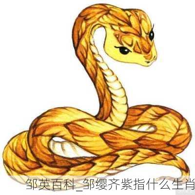 邹英百科_邹缨齐紫指什么生肖