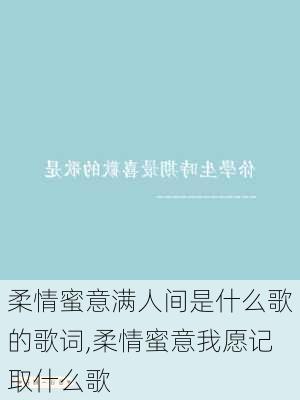 柔情蜜意满人间是什么歌的歌词,柔情蜜意我愿记取什么歌