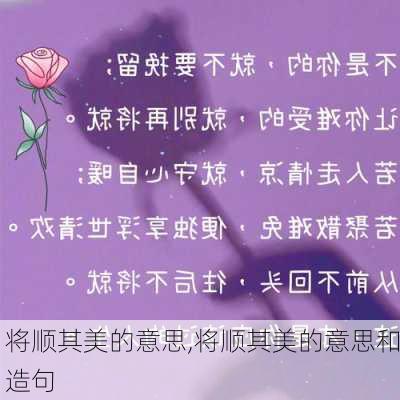 将顺其美的意思,将顺其美的意思和造句