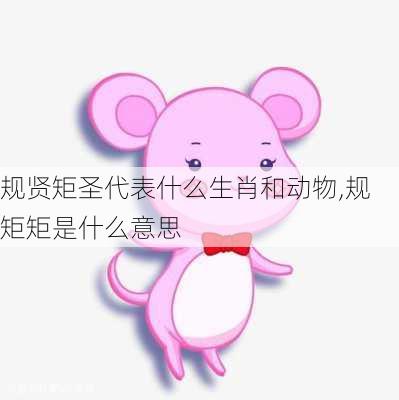 规贤矩圣代表什么生肖和动物,规矩矩是什么意思