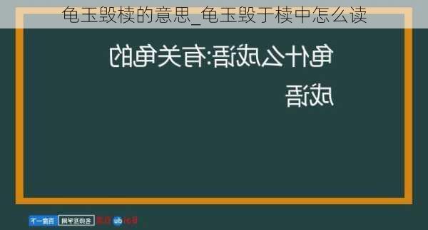 龟玉毁椟的意思_龟玉毁于椟中怎么读