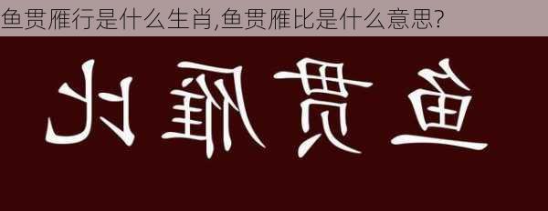 鱼贯雁行是什么生肖,鱼贯雁比是什么意思?