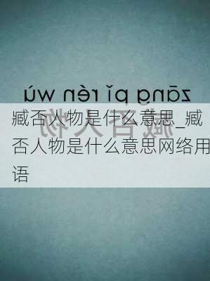 臧否人物是什么意思_臧否人物是什么意思网络用语