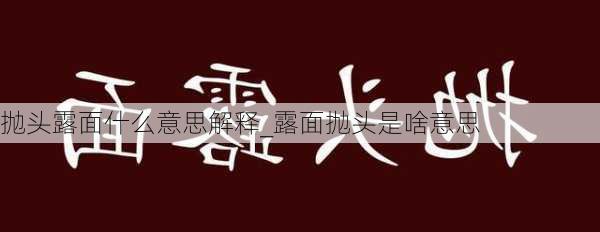 抛头露面什么意思解释_露面抛头是啥意思