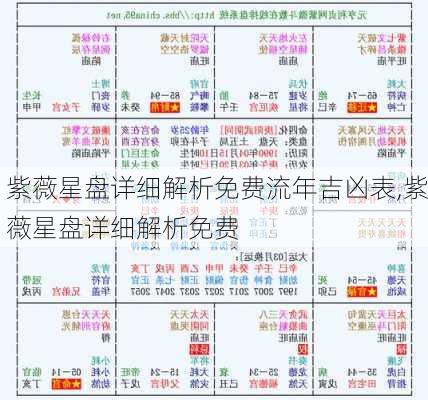 紫薇星盘详细解析免费流年吉凶表,紫薇星盘详细解析免费