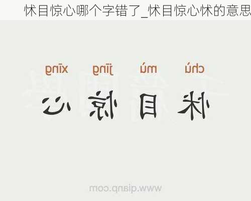 怵目惊心哪个字错了_怵目惊心怵的意思