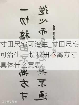 寸田尺宅可治生_寸田尺宅可治生 一切福田不离方寸具体什么意思