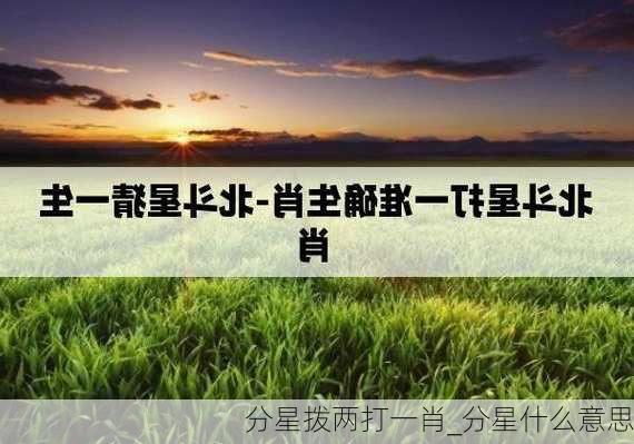 分星拨两打一肖_分星什么意思