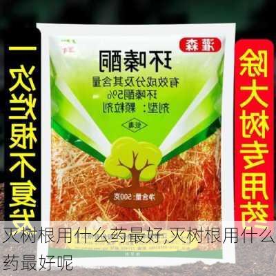 灭树根用什么药最好,灭树根用什么药最好呢