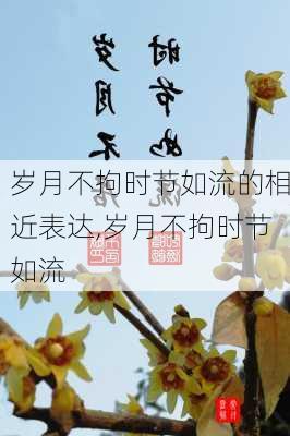 岁月不拘时节如流的相近表达,岁月不拘时节如流