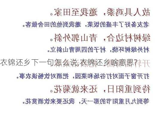 衣锦还乡下一句怎么说,衣锦还乡啥意思?