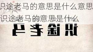 识途老马的意思是什么意思,识途老马的意思是什么