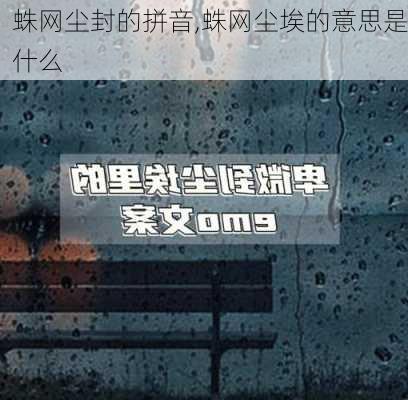 蛛网尘封的拼音,蛛网尘埃的意思是什么