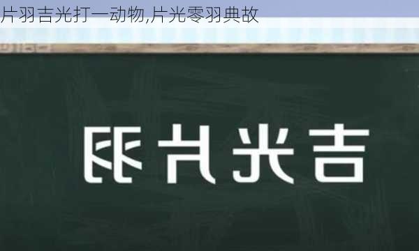 片羽吉光打一动物,片光零羽典故