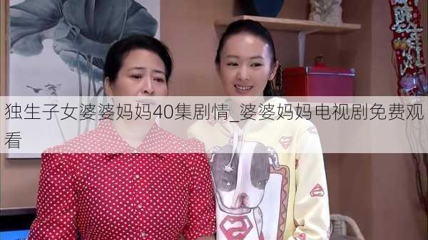 独生子女婆婆妈妈40集剧情_婆婆妈妈电视剧免费观看