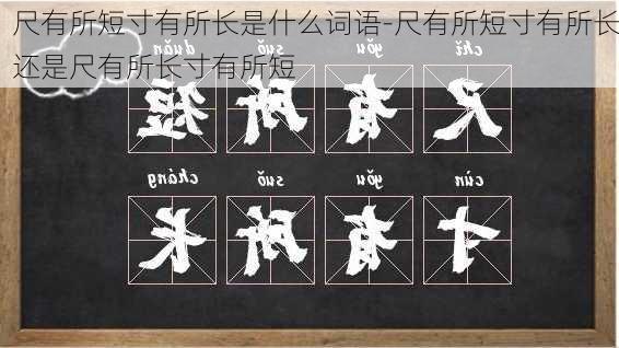 尺有所短寸有所长是什么词语-尺有所短寸有所长还是尺有所长寸有所短