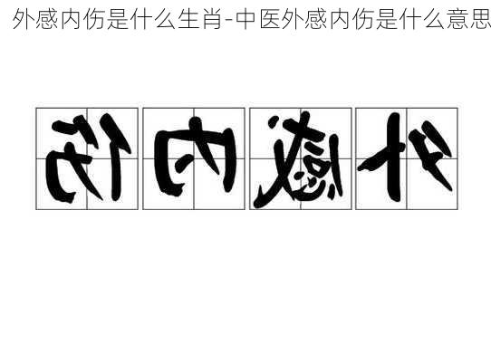 外感内伤是什么生肖-中医外感内伤是什么意思