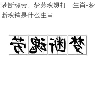 梦断魂劳、梦劳魂想打一生肖-梦断魂销是什么生肖